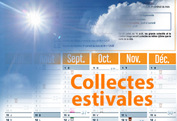 Vos collectes de l'été