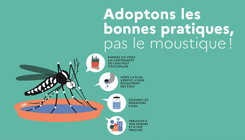 Against mosquitoes: let’s adopt best practices!