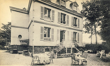 Tea Garden