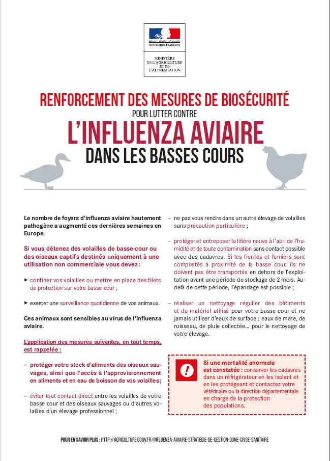 Affiche influenza