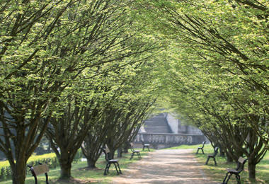 Couv flanerie domaine