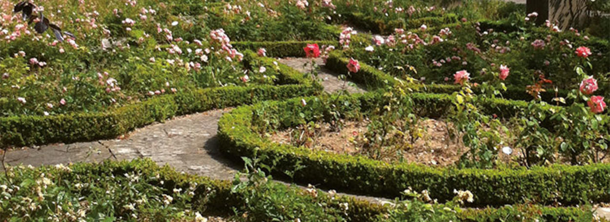 Jardin Stern